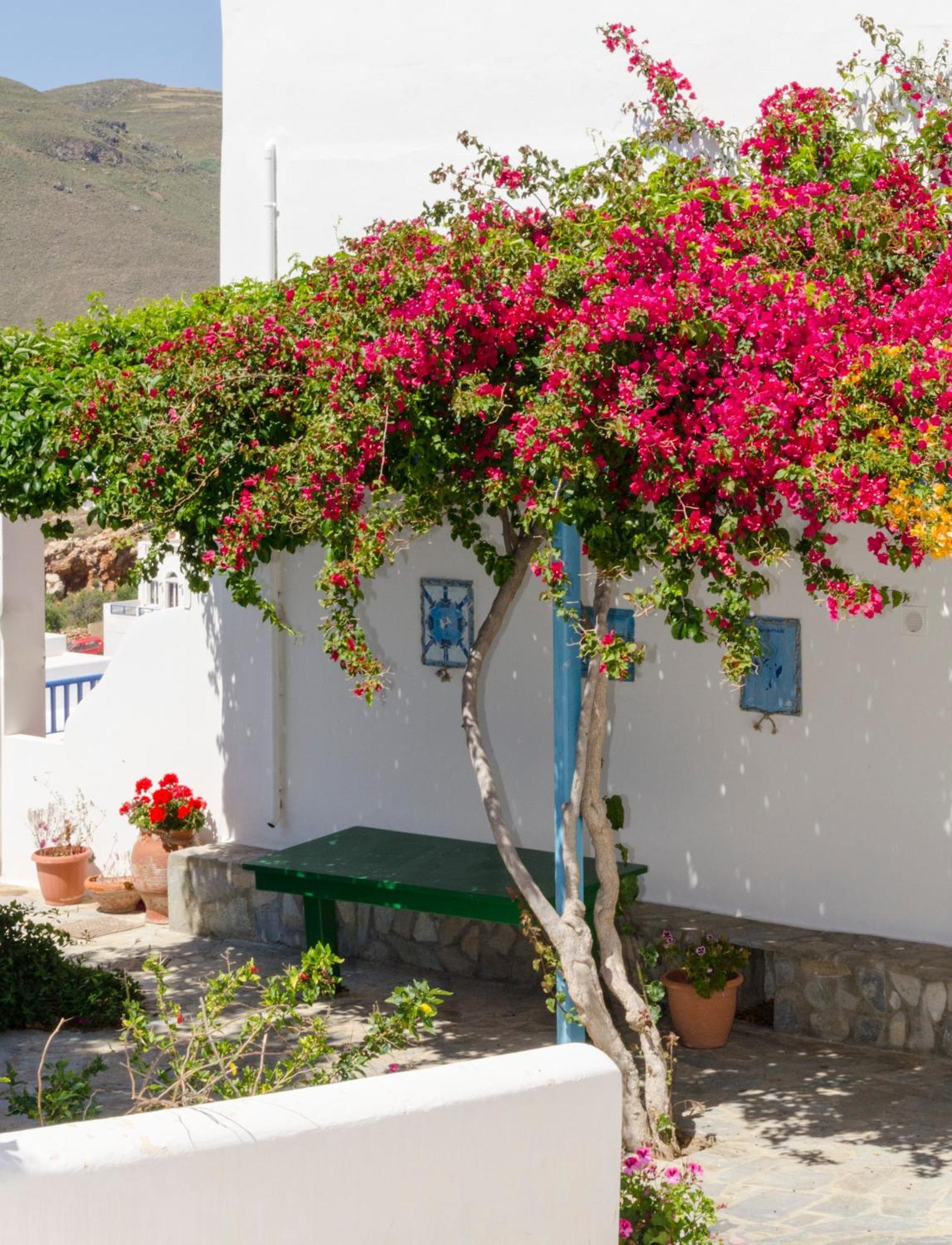 Provarma Hotel Astypalaia Exterior photo